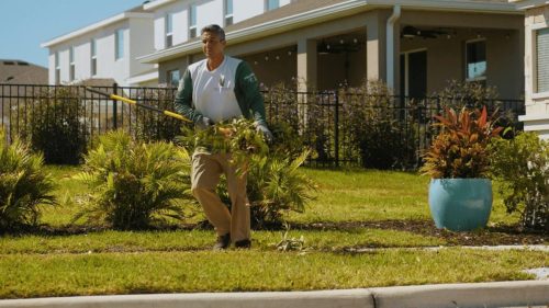 Lawn Services Brandon FL 398