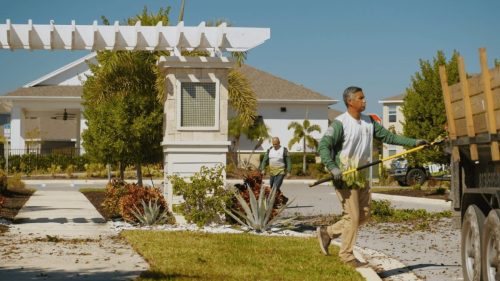 Lawn Services Brandon FL 399