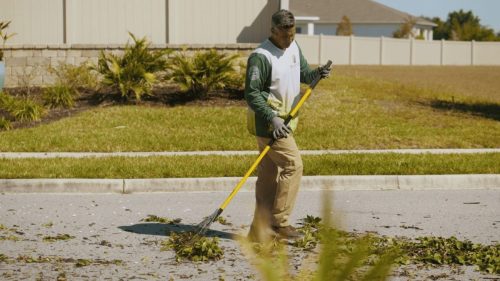 Lawn Services Brandon FL 400