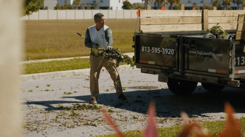 Lawn Services Brandon FL 402