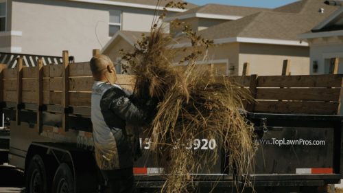 Lawn Services Brandon FL 408