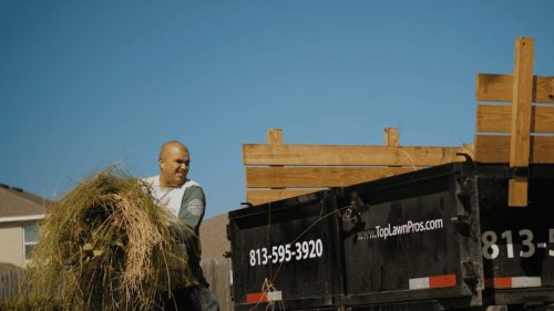 Lawn Services Brandon FL 411