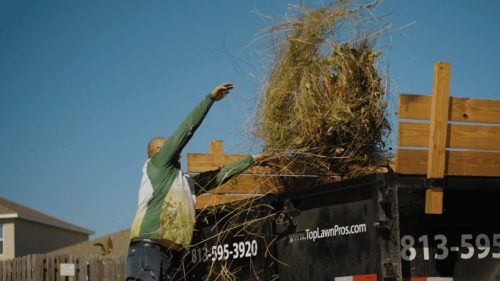 Lawn Services Brandon FL 412