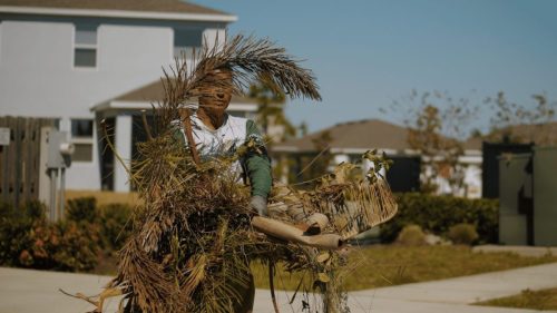 Lawn Services Brandon FL 415