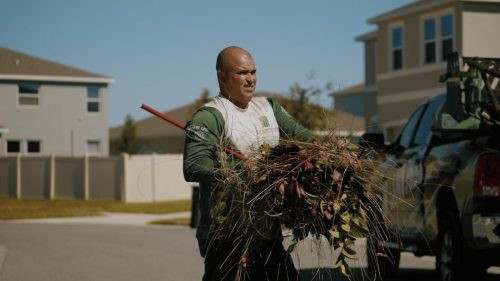 Lawn Services Brandon FL 417