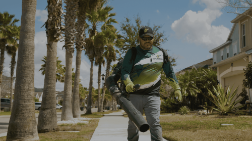 Lawn Services Brandon FL 42