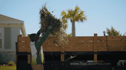 Lawn Services Brandon FL 420