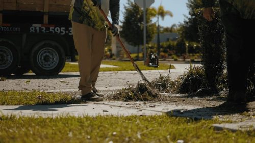 Lawn Services Brandon FL 422