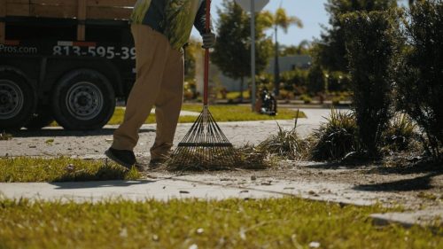 Lawn Services Brandon FL 423