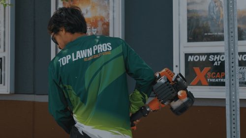 Lawn Services Brandon FL 426