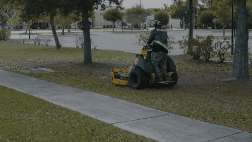 Lawn Services Brandon FL 429