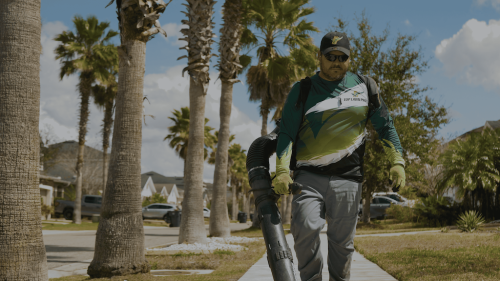 Lawn Services Brandon FL 43