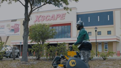 Lawn Services Brandon FL 431