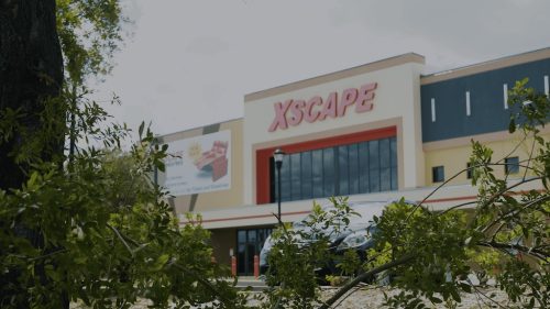 Lawn Services Brandon FL 433