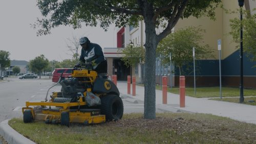 Lawn Services Brandon FL 435