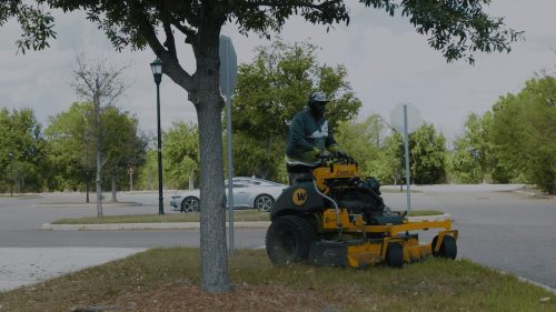 Lawn Services Brandon FL 436