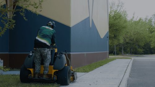 Lawn Services Brandon FL 438