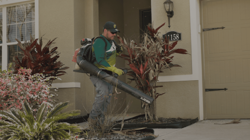 Lawn Services Brandon FL 44