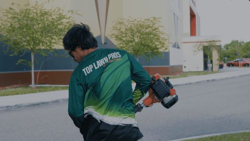 Lawn Services Brandon FL 442