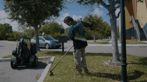 Lawn Services Brandon FL 443