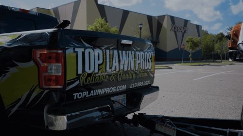 Lawn Services Brandon FL 444