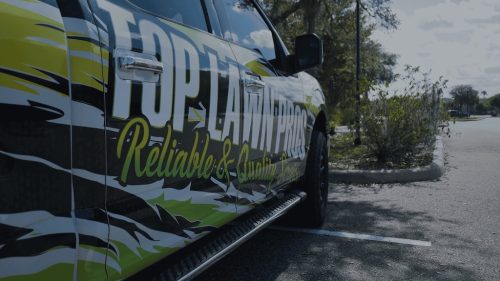 Lawn Services Brandon FL 445