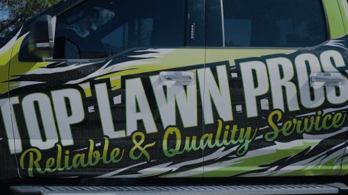 Lawn Services Brandon FL 447