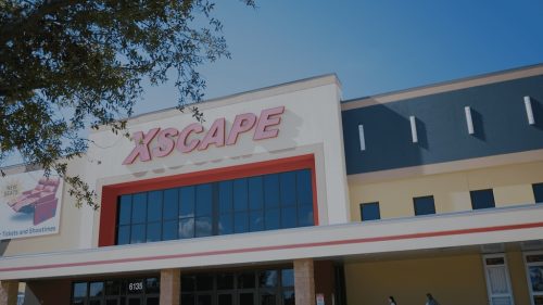 Lawn Services Brandon FL 448