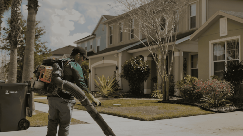 Lawn Services Brandon FL 46