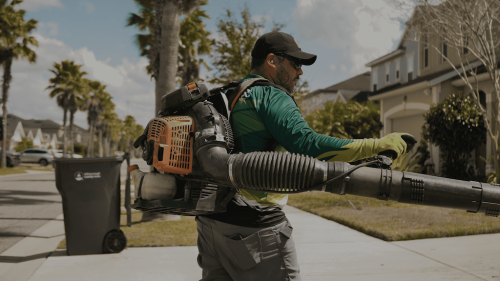 Lawn Services Brandon FL 47