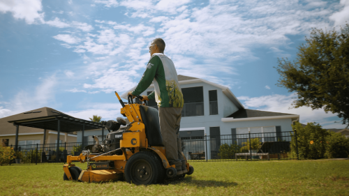 Lawn Services Brandon FL 56