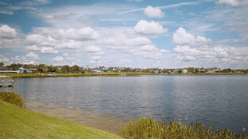 Lawn Services Brandon FL 68