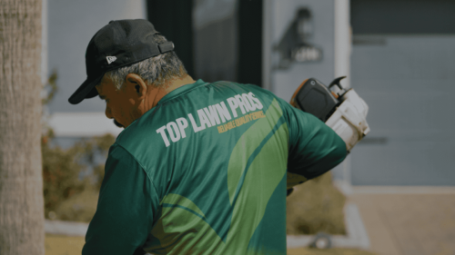 Lawn Services Brandon FL 7