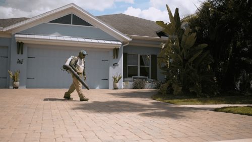 Lawn Services Brandon FL 70