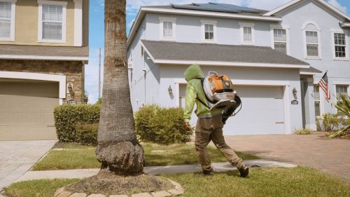 Lawn Services Brandon FL 78