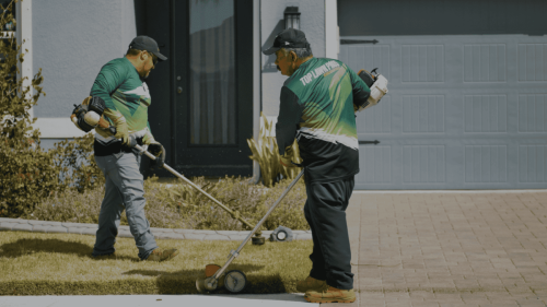 Lawn Services Brandon FL 8