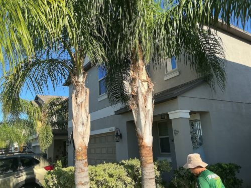 Lawn Services Brandon Fl 8.18.26 100