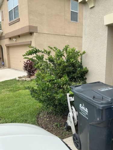 Lawn Services Brandon Fl 8.18.26 102