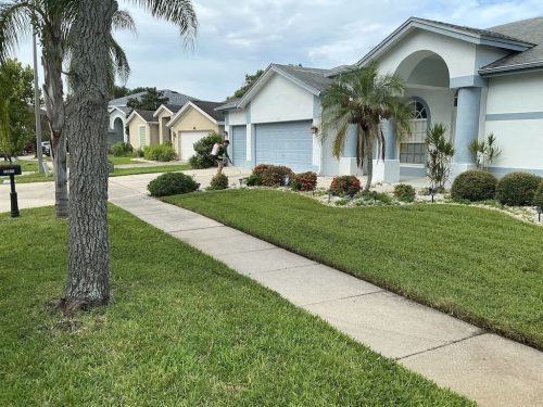 Lawn Services Brandon Fl 8.18.26 112