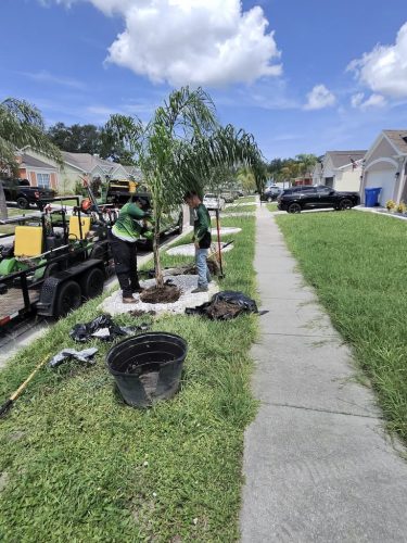 Lawn Services Brandon Fl 8.18.26 118