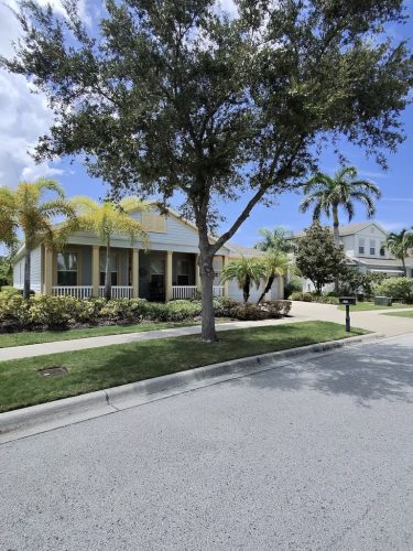 Lawn Services Brandon Fl 8.18.26 119