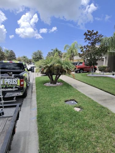 Lawn Services Brandon Fl 8.18.26 120