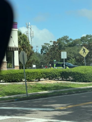 Lawn Services Brandon Fl 8.18.26 2