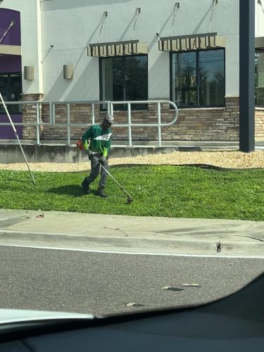 Lawn Services Brandon Fl 8.18.26 3