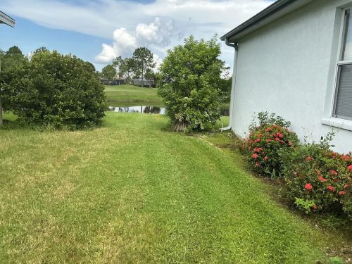 Lawn Services Brandon Fl 8.18.26 33