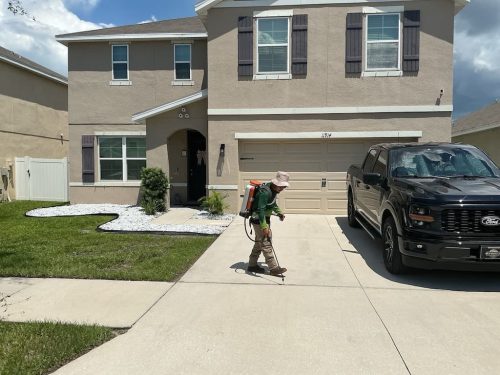 Lawn Services Brandon Fl 8.18.26 37