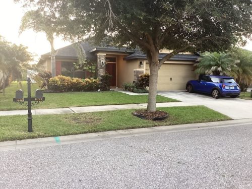 Lawn Services Brandon Fl 8.18.26 39