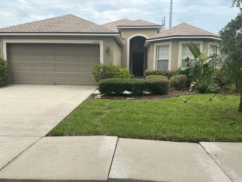 Lawn Services Brandon Fl 8.18.26 43
