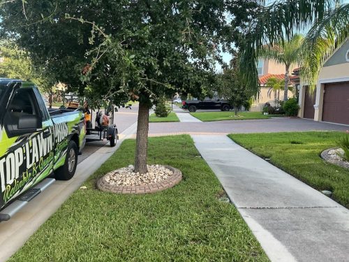 Lawn Services Brandon Fl 8.18.26 57
