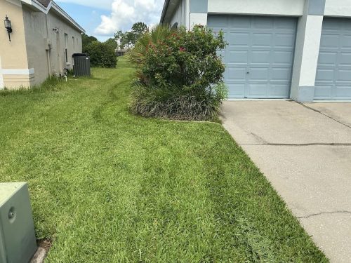 Lawn Services Brandon Fl 8.18.26 60